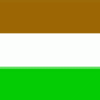 Transkei flaf