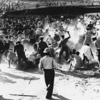 The riot captured by Laurie Bloomfield