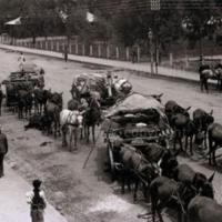 The siege of Ladysmith