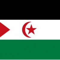 https://flagpedia.net/western-sahara