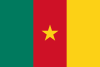 Flag of Cameroon