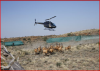 https://www.sanparks.org/wp-content/uploads/2023/05/MG_2661-1-500x350.jpg