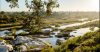 "https://www.sabi-sands.com/assets/img/sabi-sands-game-reserve-travel-information.jpg" 