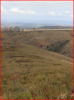 https://zuurbergmountainvillage.co.za/wp-content/gallery/wildlife-and-activities/Horse3.jpg